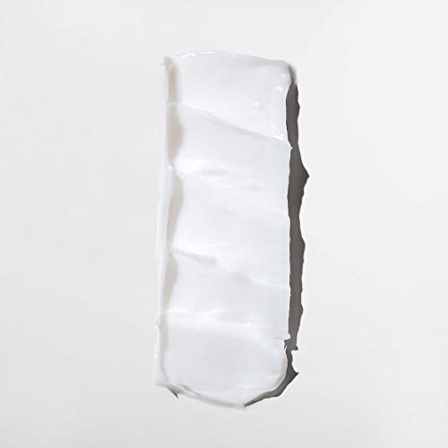 Mizani Moisture Fusion Intense Moisturizing Mask, Restores Hydration In Dry Curls & Coils With Argan Oil For Dry Hair,16.9 Fl. Oz(Pack Of 1) #TOP7