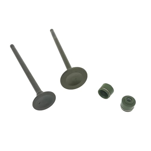 Válvula de admisión y escape con retén para moto 50cc 4T compatible con V50 V50G L4 L5