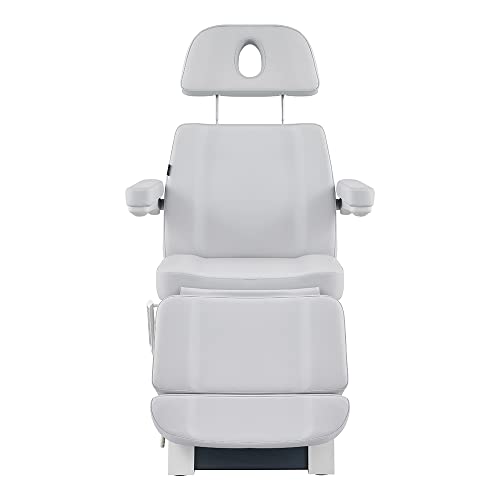 Dir Beauty Spa Medical Treatment Bed 4 Motor Electrical Facial Medical Spa Tables - Vanir In Light Grey #TOP1