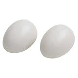 Lot de 12 œufs de pigeons artificiels en plastique blanc massif pour l'éclosion et la nidification, réalistes pour mini œufs de pigeons pour la reproduction