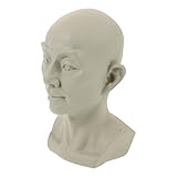 Petit buste en plâtre – ce buste classique sculpté possède de nombreuses applications