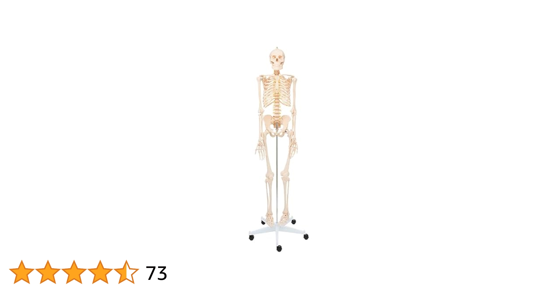 21GLMjEjqwL.jpg_BO30,255,255,
