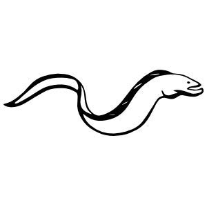 Electric EEL - Pack of 4 - StickerVinyl Waterproof Sticker Decal Car Laptop Wall Window Bumper Sticker