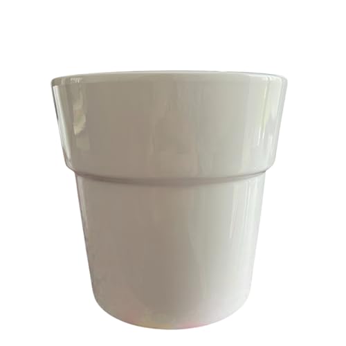 Générique Pot d'Orchidée en Céramique, Caluna Blanc, 13 cm, Plante d'Intérieur