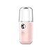 Ashley GAO Nano Spray Water Replenisher Strumento per l'idratazione Mini Portatile Ricaricabile per Il Viso Vaporizzatore Beauty Idratante Umidificatore