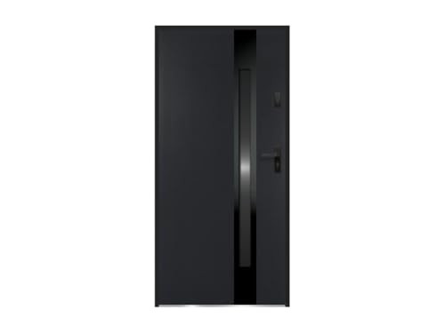 Vente-unique-Eingangstür mit Türanschlag links - Stahl & Edelstahl - 207 x 100 cm - Rauchglas - Schwarz & Anthrazit - BRAGA