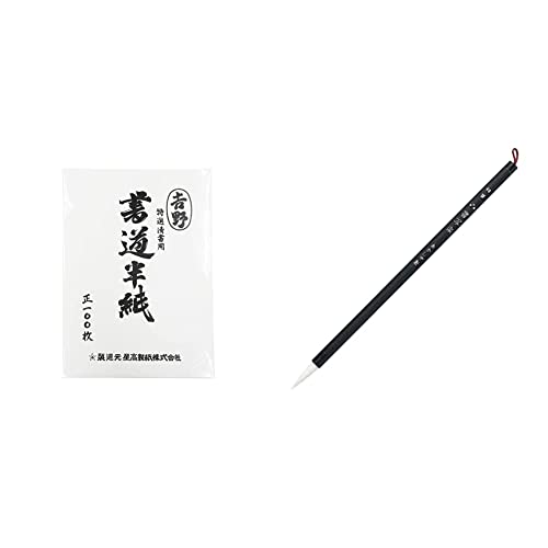 yZbgzGqH Ip g HAN-YO100P 100 &  M וM ʊy 8 wZʗp ASP-51