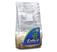 City Hydroponics Exhale Co2 Bag