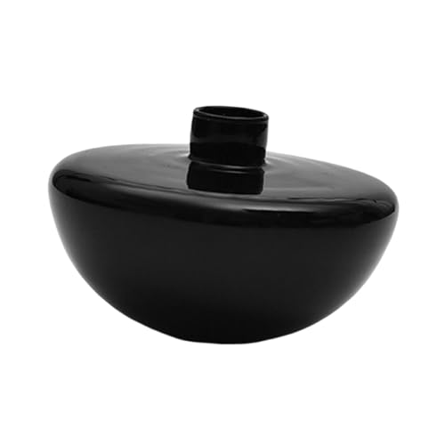 B Baosity Florero Creativo de Vidrio Jarrón Decorativo de Mesa Recipiente Ornamental para Arreglos Florales Maceta para Plantas Vidrio Resistente con Detalles C, Negro, Individual