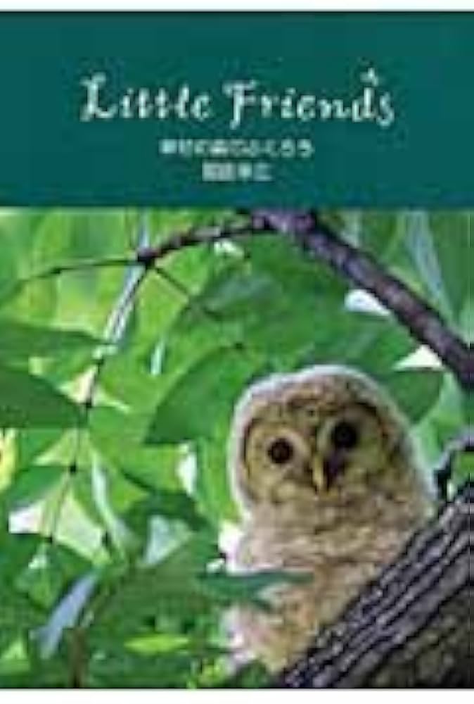 【中古】 幸せの森のふくろう/リベラル社/福田幸広 中古】 幸せの森のふくろう/リベラル社/福田幸広
