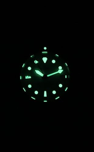 Image of RATIO FreeDiver Dive Watch Sapphire Crystal GMT Rotating Bezel Automatic Diver Watch 200M Water Resistant Diving Watch for Men