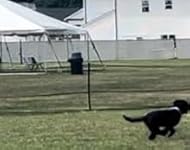 Review Image by mpatrick mpatrick