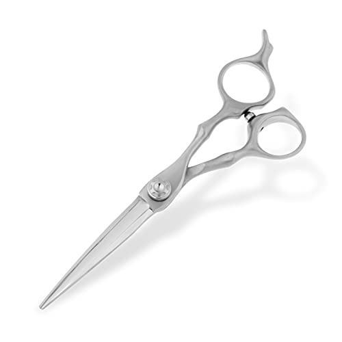 Ciseaux de coupe de cheveux pour transformer votre salon de texturation