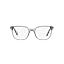 Transparent Grey/Demo Lens