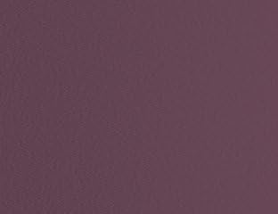 Stardream Metallics Ruby 81# Text A10 Envelope-100 envelopes Limited PapersTM Brand