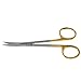 Micro IRIS Dissecting Lab Scissors with Fine Point Blades 4.5