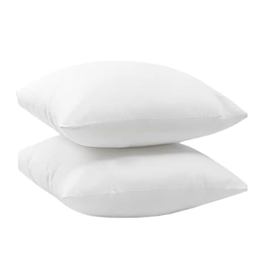 2 Pack Pillow Protector, Waterproof, Super Soft, Breathable 20x26 Inches, with Zipper