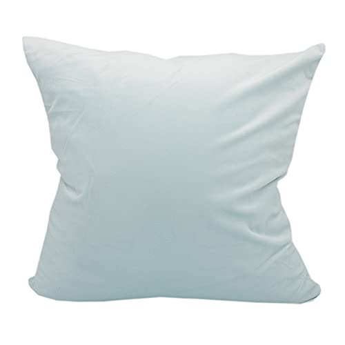 ベルベット クッションカバー ソファー 純色 ビロード 抱き枕カバー 座布団カバー (ライトブルー, 60x60cm)