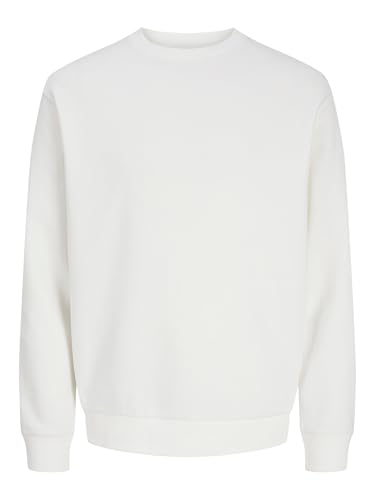 JACK & JONES JJEBRADLEY Sweat Crew NOOS