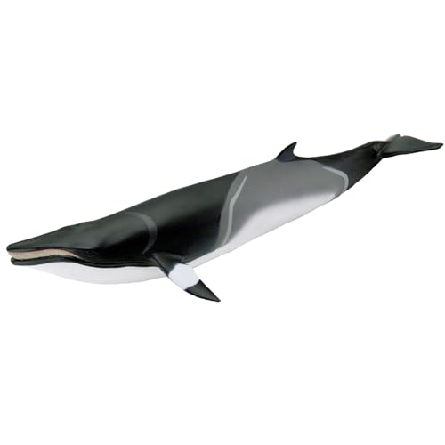 Safari Ltd. Minke Whale Figurine - Hand-Painted, Lifelike 7' Model Figure - Educational Sea Life Toy for Boys, Girls & Kids Ages 3+