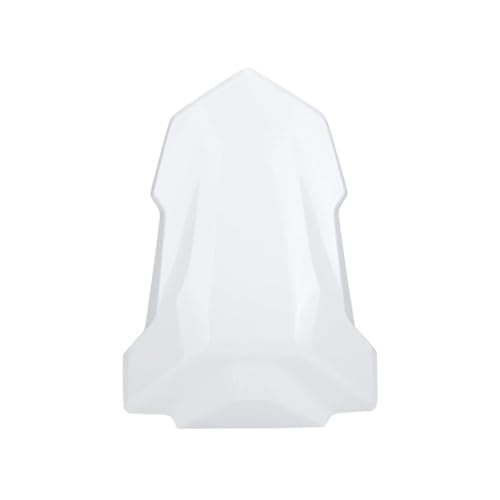 Couvercle queue carénage S1000RR finition haut de gamme capot bosse passager pour M1000RR