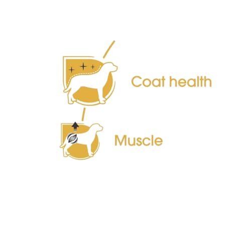 Royal Canin - Breed Health Nutrition Dachshund Adult, 12x85g