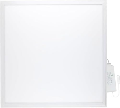 Europalamp - Pack de 4 paneles LED - 60 x 60 cm - 40 W - Blanco frío 6000 K - alta luminosidad, varios modelos disponibles