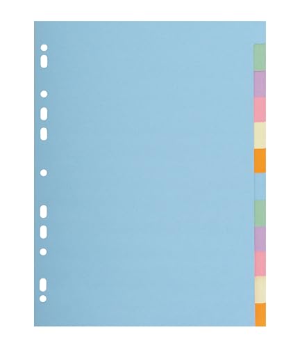 europrotokoll Pastell-Register 12-teilig bunt Karton-Register ohne Deckblatt Trennblätter passend für DIN A4 Ordner 6-farbiger Verlauf