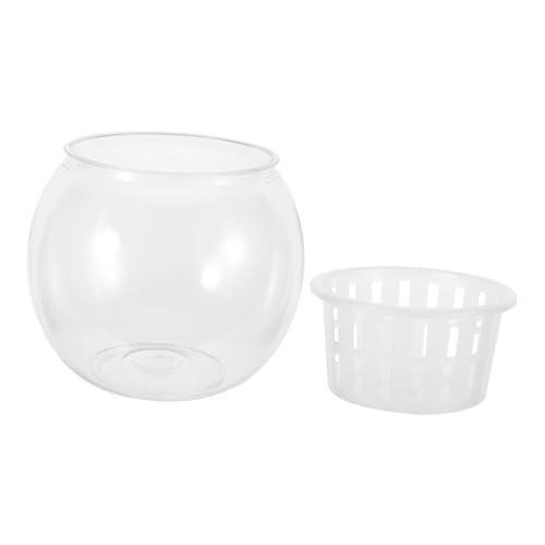 Toyvian Bol Transparent pour Poissons Et Plantes Bol Plastique pour Terrarium Et Aquarium De Table pour Betta Et Plantes Aquatiques