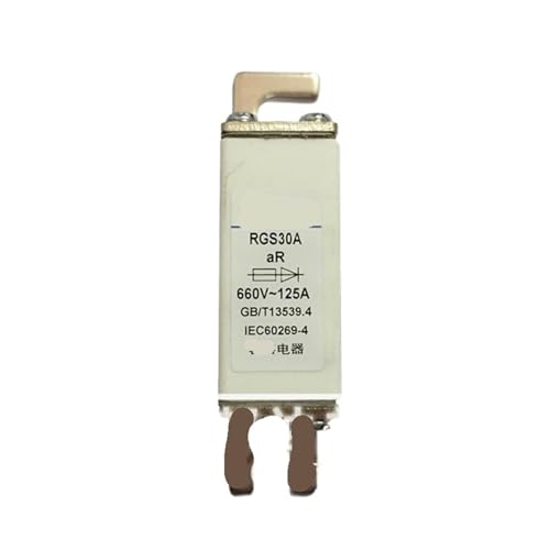 Fusible rapide RGS30A haute performance 100A coupe-circuit industriel 690V - 2