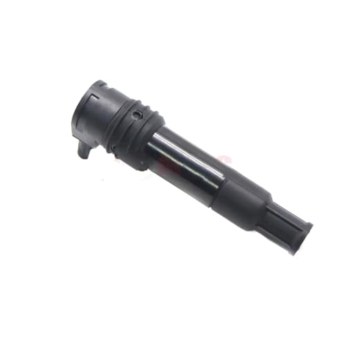 Bobine d'allumage pour R1200R capuchon droit référence 771585301