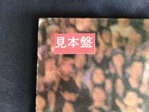 送料込み　サザンオールスターズ ３5枚セット ME0424-2　レーザーディスク 送料込み サザンオールスターズ 35枚セット ME0424-2 レーザー
