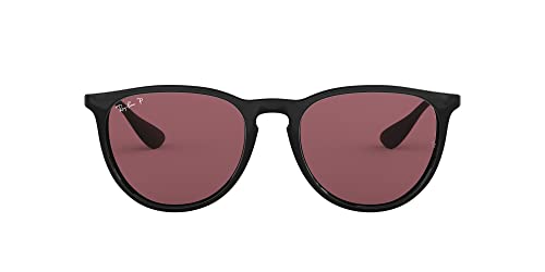 Image of Ray-Ban RB4171 Erika Round Sunglasses
