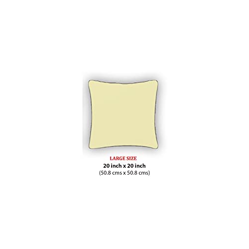 Image of Brown Square Pillow Cover Fur Cushion Pillowcase Set of 2 , 20x20 inches / 50.8cm x 50.8cm