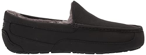 UGG Chinelo masculino Ascot preto cinza 9 W, Couro preto fosco