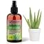 ALOE VERA Plants Superfood