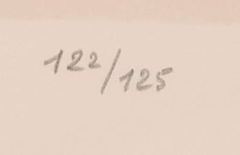 Amazon | ベルナール・カトラン 「ピンクと黒の背景の白い薔薇」 バラ