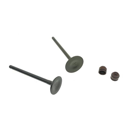 Joint d'huile de tige d'admission GY6 pièces de rechange moteur pour ATV175 ATV200 quad scooter