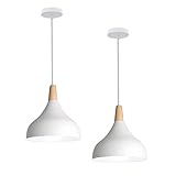 L'abat-jour : Ø20 cm * H20 cm ; Base de plafond: Ø 10cm * 2cm. ; longueur du câble: 100 cm (réglable)