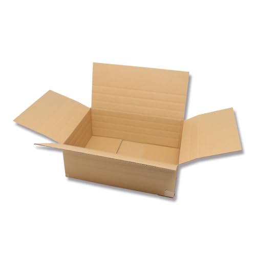 yP[X̔zVW} HEIKO  _{[ 100TCY A3  ώ i{[ 20