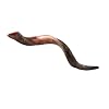 Extra Large Authentic Yemenite Kudu Shofar - 40-42 Half Polished, Half Natural Finish - Includes Anti-Odor Spray, Carrying Bag & Blowing Guide by Yaliland