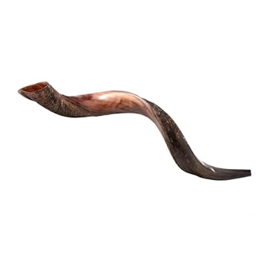 Extra Large Authentic Yemenite Kudu Shofar - 40-42 Half Polished, Half Natural Finish - Includes Anti-Odor Spray, Carrying Bag & Blowing Guide by Yaliland