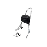 Per Sportster 1200 Per Nightster Per Roadster Per Forty-Eight Per Special Per Seventy-Two XL1200 Schienale passeggero Sissy Bar staccabile