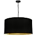 Dainolite BXN-L-BK-698, 1 Light Black/Gold Pendant