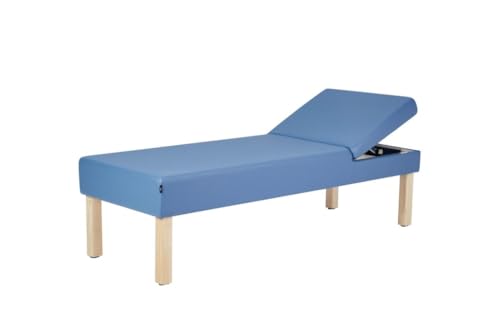 Vivacomfort Lucas Medical Recovery Couch with Adjustable Back