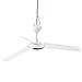 QHW Ventilatore da soffitto DC 12V Mini Ventilatore Portatile, Ventilatore da Appendere per Negozio di Frutta/Gastronomia, Repellente per zanzare, 3 Pale