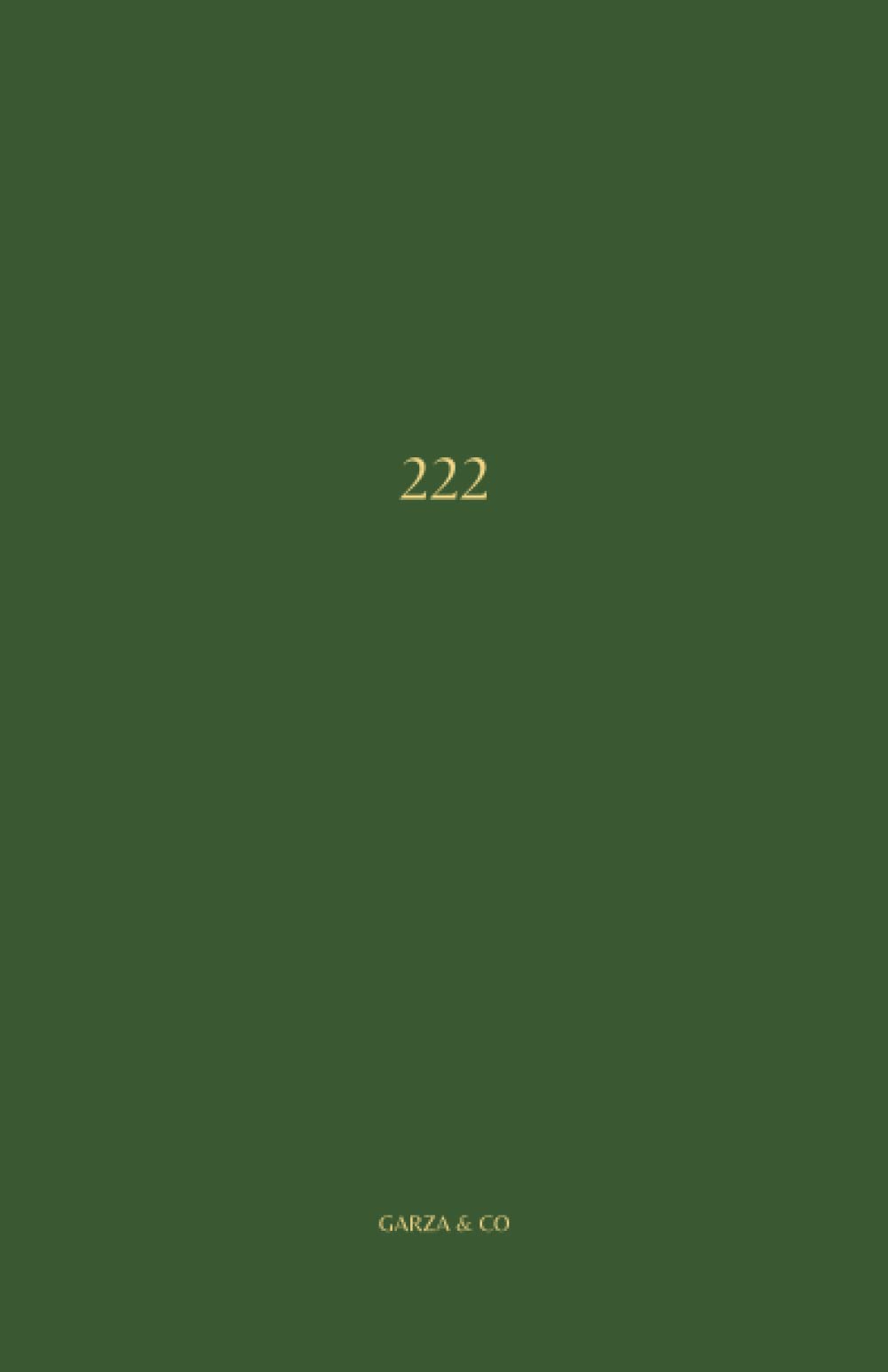 222: Angel Number Lined Notebook Perfect for Scripting, Journaling, Planning, and Taking Notes