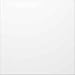 Produktbild Ritto 4972430 1876670 Portier Blindmodul weiss