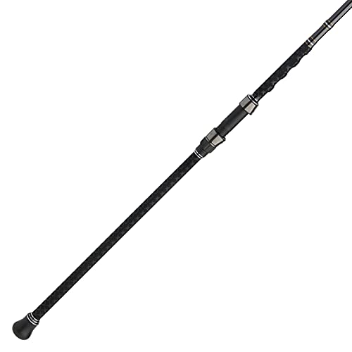 PENN Carnage III Surf Spinning Fishing Rod