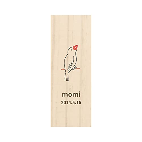 Amazon.co.jp: 【 名入れ無料 】 鳥の羽根ケース ホワイト カラフル 絵